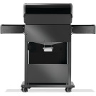 NAP Grill ROGUE 425 gazowy czarny