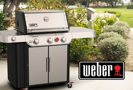 Weber Grille